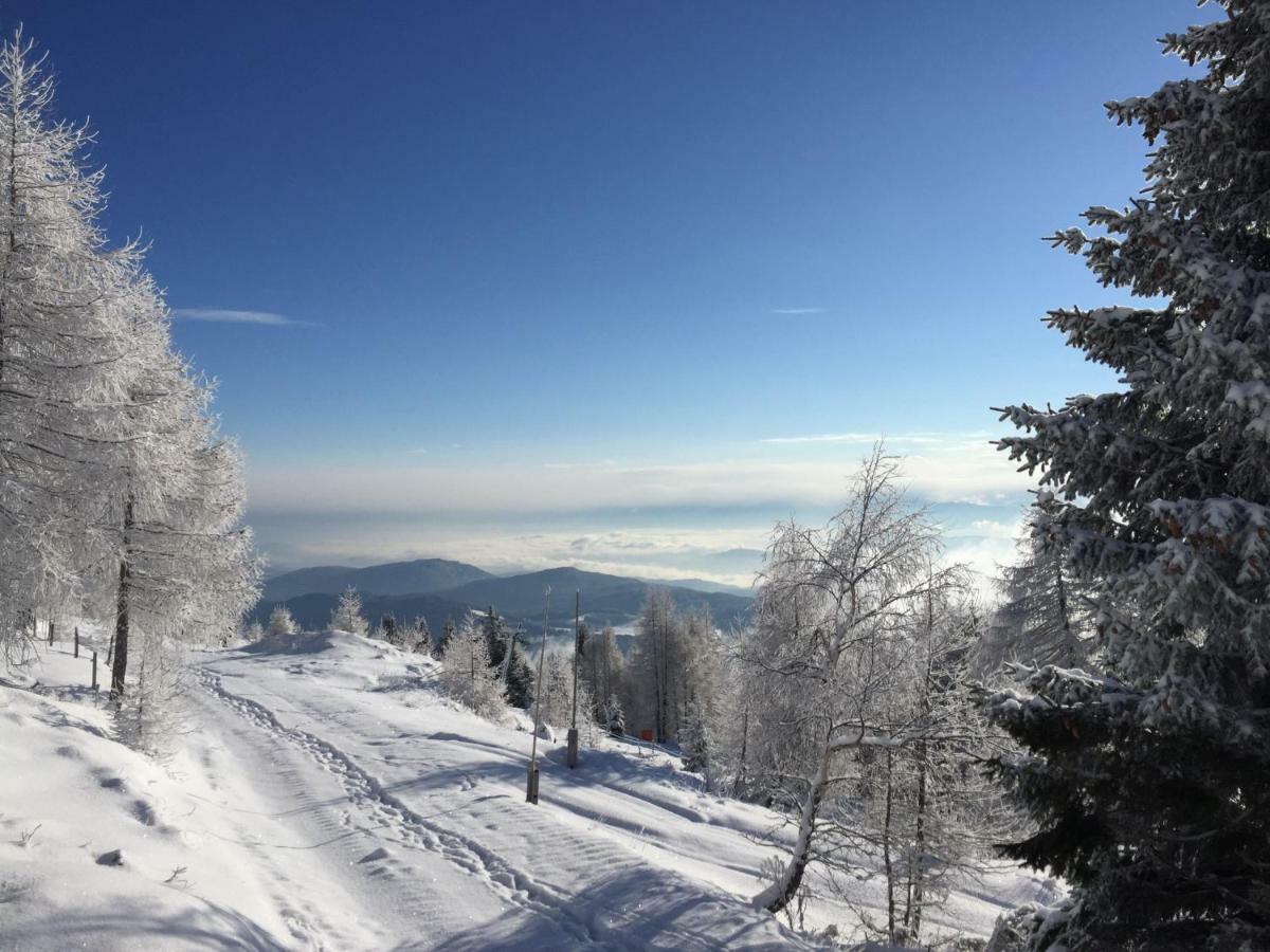 Appartement VIDMAR-WINTERTRAUM Arriach Extérieur photo